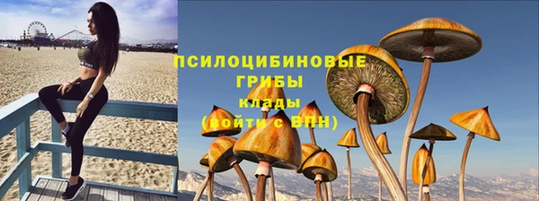 ПСИЛОЦИБИНОВЫЕ ГРИБЫ Баксан